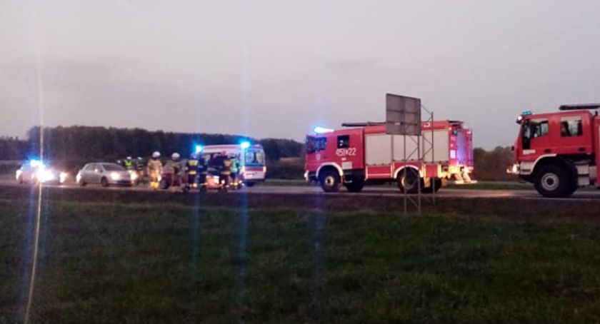 Groźnie na drodze pod Nieborowem. 33-letnia kierująca trafiła do szpitala po zderzeniu z łosiem
