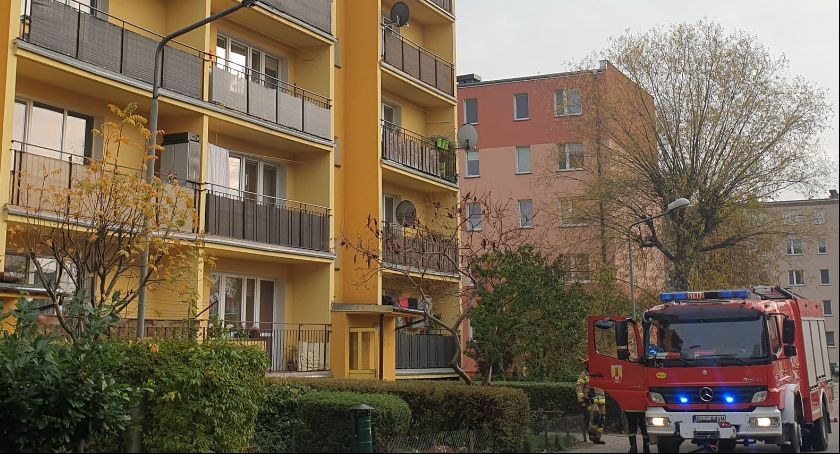 Zbyt mocno podgrzewał na obiad gołąbki. Wezwano straż i policję (FOTO)