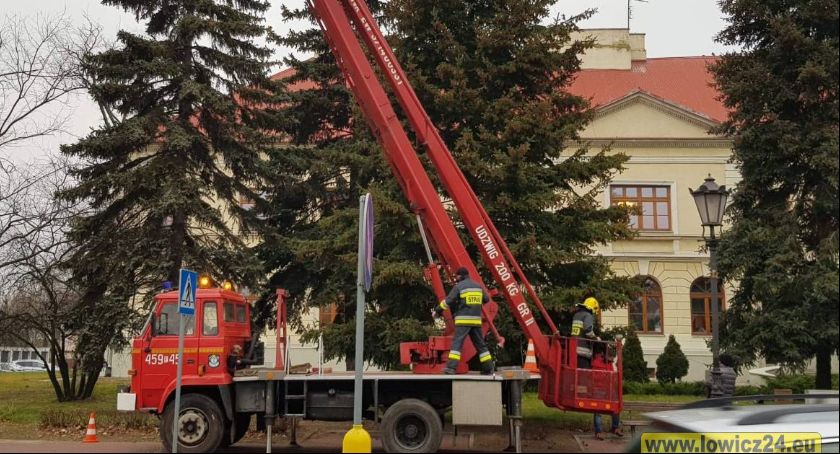 Choinka przed Starostwem już przybrana światełkami (FOTO i VIDEO)