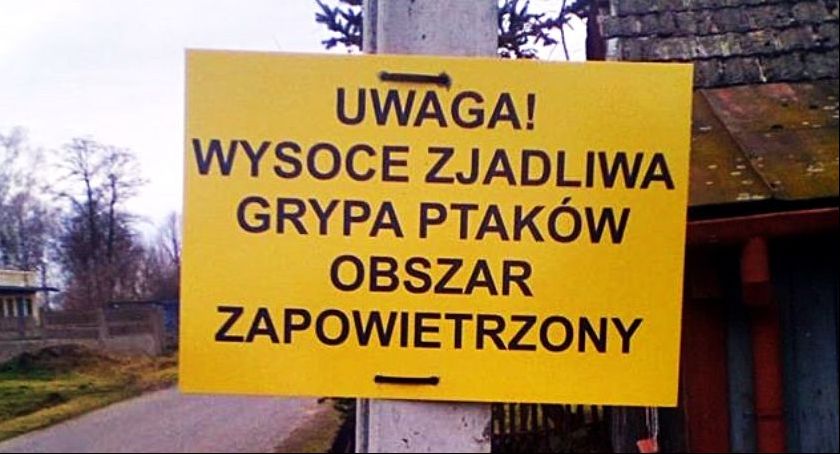 Powiatowy Lekarz Weterynarii w Łowiczu ostrzega przed ptasią grypą