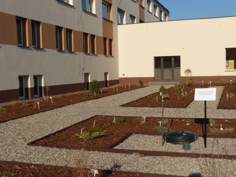 Ogródek dydaktyczny na terenie ZSP nr 2 już otwarty