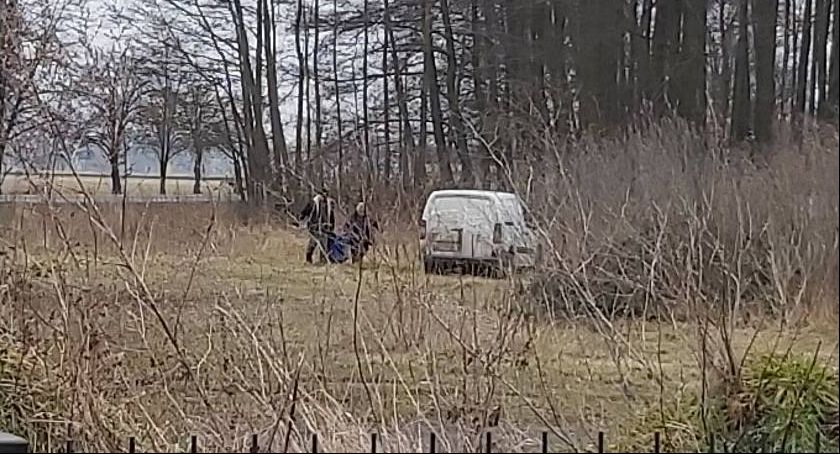 Jamno. Potrącona sarna w rowie! Pomocy udzielił lekarz weterynarii 