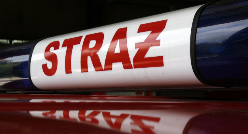 Łowickie. Strażacy usuwali powalone drzewa