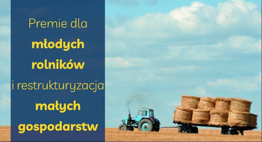 Premie dla młodych rolników i restrukturyzacja małych gospodarstw – wystartowały nabory