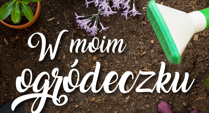 Opisz swój wymarzony ogródek w konkursie Łączy nas Łowicz!