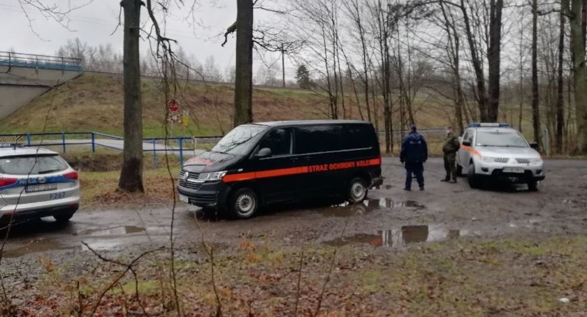 Monitoring w lesie? Fotopułapki w gminie Koluszki