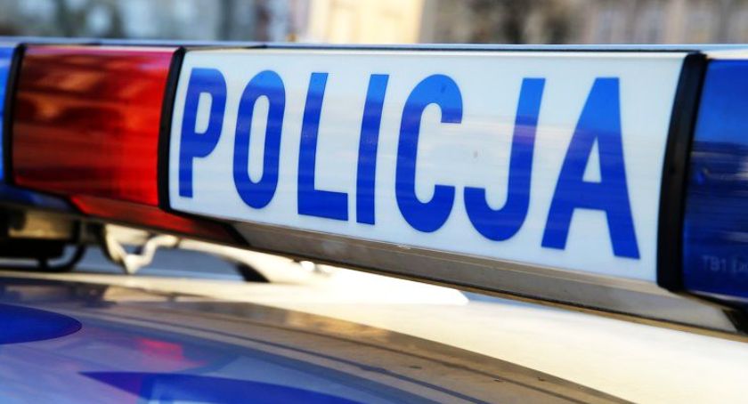 Sarna wbiegła na drogę. Kierowca nie uniknął zderzenia