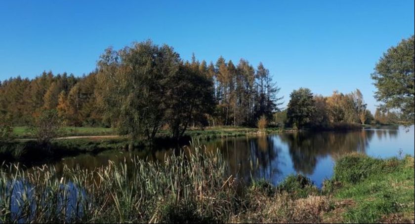 Będą sprzątać teren przy zalewie za Laskiem Miejskim. Mile widziana pomoc