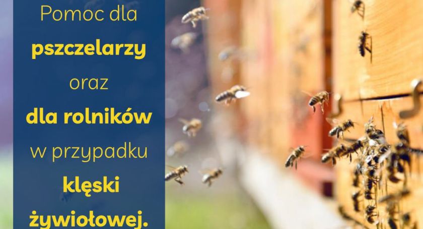 Pomoc dla pszczelarzy i rolników w razie klęski żywiołowej
