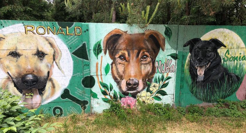 W łowickim schronisku powstają murale