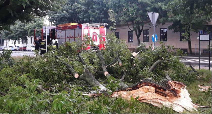 Gwałtowna burza w powiecie łowickim! Interwencje straży (Foto i Video)