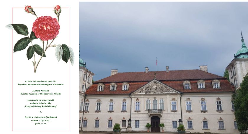 Pałac w NIeborowie będzie miał swój kwiat! To róża o imieniu Księżna Helena Radziwiłłowa