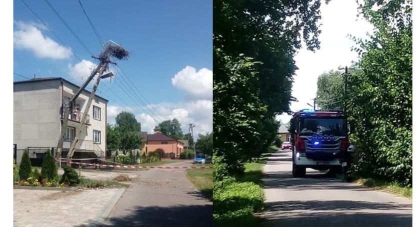 Osobówką uderzył w słup niskiego napięcia. Od kierowcy była wyczuwalna woń alkoholu 