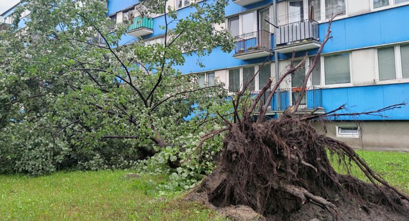 Wichura dotkęła również osiedla Łowickiej Spółdzielni Mieszkaniowej (ZDJĘCIA, VIDEO)