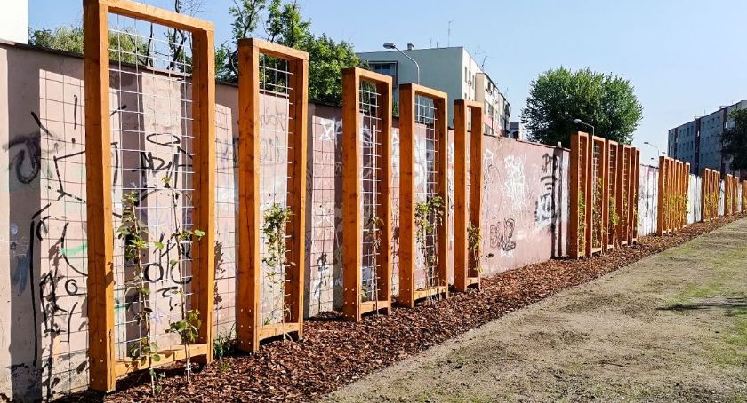 Łowicka Spółdzielnia Mieszkaniowa przygotowuje projekt parków kieszonkowych