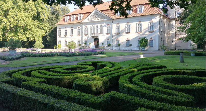 Nieborowskie ogrody walczą z ćmą bukszpanową!