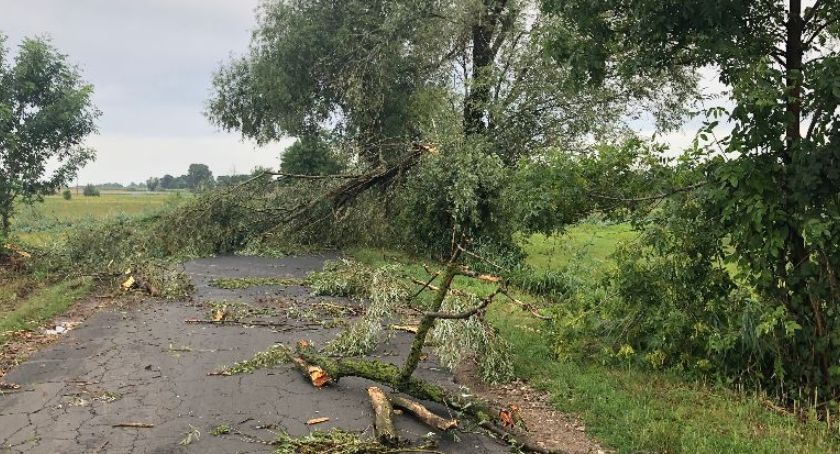 Straż podsumowała interwencje w ramach usuwania skutków nawałnicy