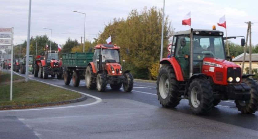 Kiernozia. Szkolenia dla rolników - hodowców trzody chlewnej