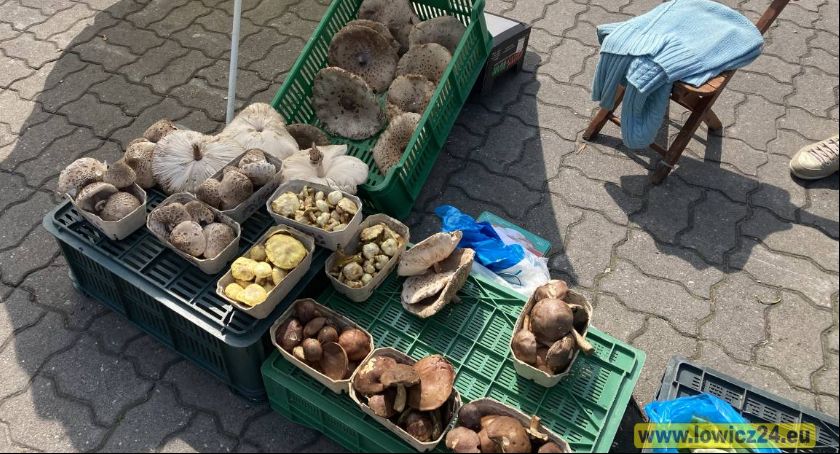 Targowisko miejskie. Sezon grzybowy w pełni (Foto)