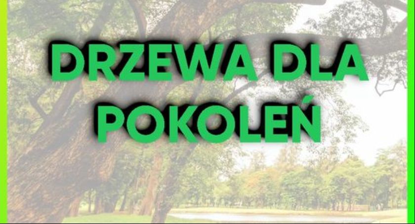 Na łowickich placach zabaw zostaną posadzone kolejne drzewka!