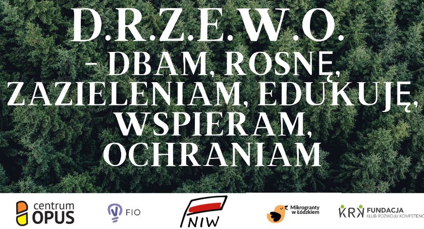 Łowicz. Fundacja rozda sadzonki drzew i krzewów