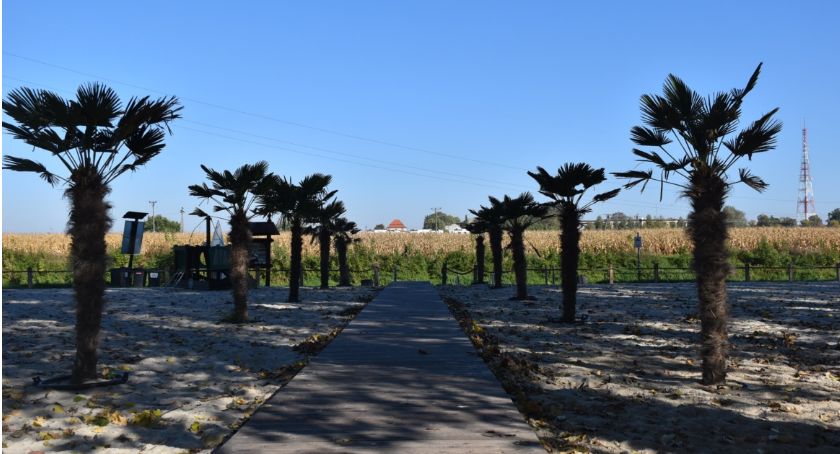 Październik, a palmy jeszcze na plaży