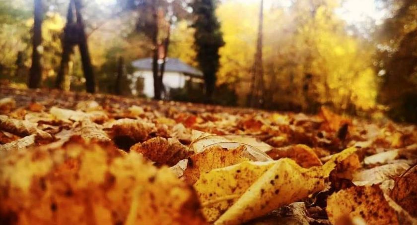 Znamy zwycięzców konkursu „Powitanie jesieni”