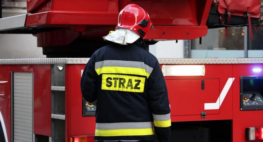 Zielkowice. Pożar samochodu na leśnej drodze