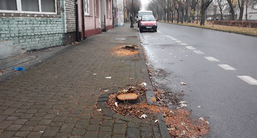 Łowicz. Dlaczego wycięto drzewka w al. Sienkiewicza i dąb przed ratuszem? (foto)