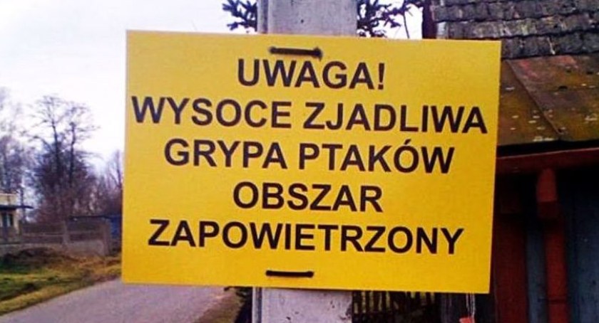 Powiatowy Lekarz Weterynarii w Łowiczu ostrzega przed ogniskami ptasiej grypy