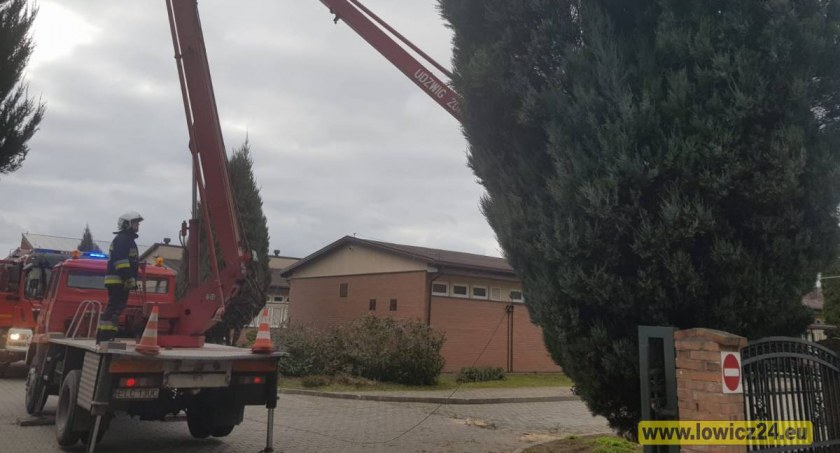 Drugi dzień straż usuwa skutki wichury. Dziesiątki zgłoszeń z miasta i powiatu (foto, film)