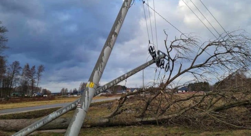 PGE. Aktualne dane po wichurach i naprawach w powiecie łowickim