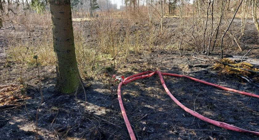 Wezwania do pożarów suchych traw stają się normą