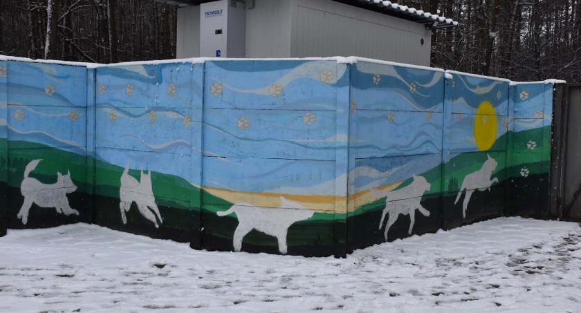 Murale w łowickim schronisku dla zwierząt (foto)