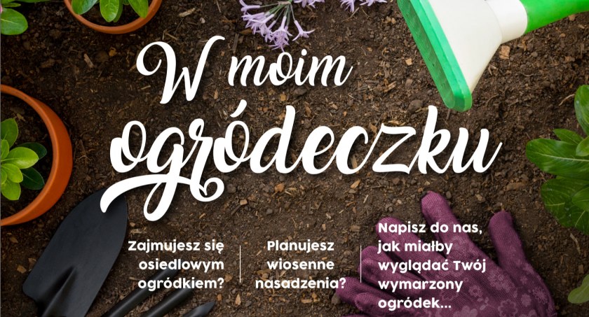 Łowicz. Stowarzyszenie organizuje konkurs dla opiekunów osiedlowych ogródków