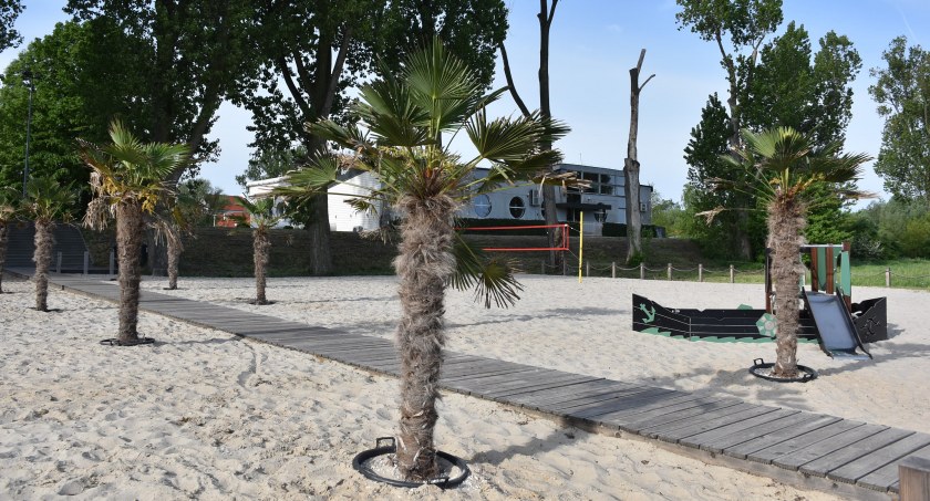 Palmy powróciły na łowicką plażę (foto)