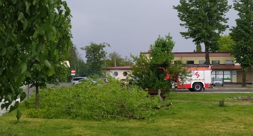Powiat łowicki. Tym razem wiatr nie wyrządził większych szkód