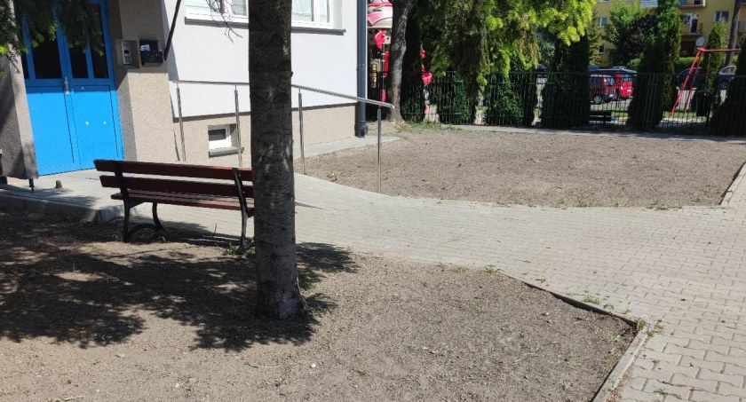 Rewitalizacja trawników i łąki kwietne w zasobie ŁSM (foto)