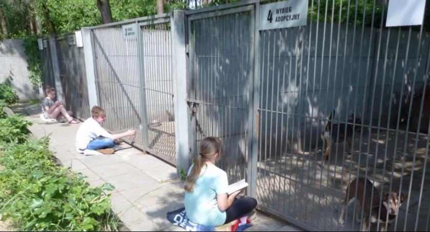 Łowickie schronisko poszukuje wolontariuszy