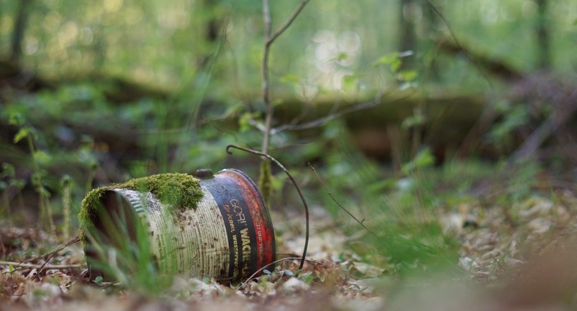 Wypoczynek, przyroda i śmieci. Oto dlaczego tereny zielone toną w odpadach
