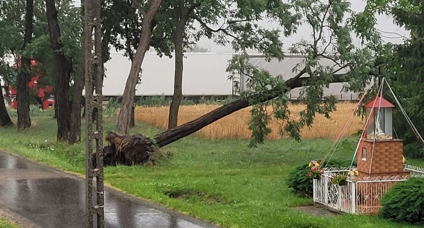 Powiat łowicki. Kilkanaście interwencji straży po burzy