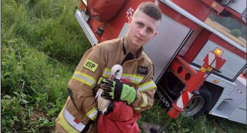 Druhowie z Pilaszkowa pomogli bocianiej rodzinie (foto, film)