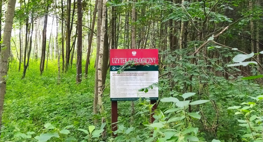 Bolimowski PK ze Złotą Pinezką map Google