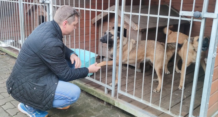 ŁSM wspiera łowickie schronisko dla zwierząt