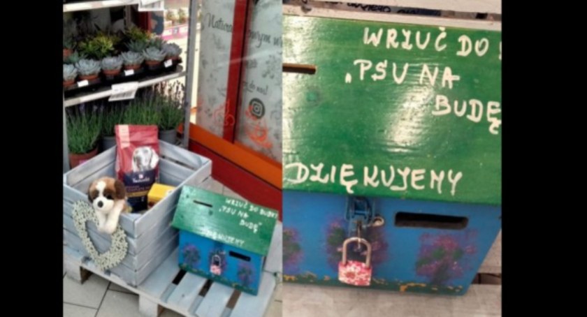 Z Kauflandu skradziono skarbonkę Łowickiego Stowarzyszenia Przyjaciół Zwierząt!