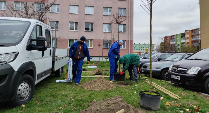 ŁSM nie rzuca słów na wiatr i dalej zazielenia osiedla (foto)