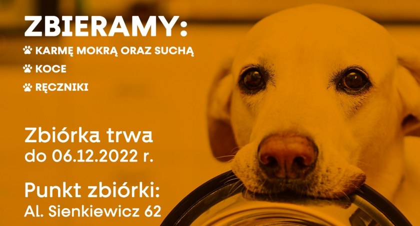 Trwa zbiórka karmy dla psiaków ze Szczudłowa