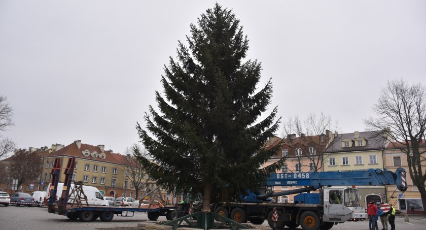 Na Starym Rynku w Łowiczu stanęła choinka (foto,film)