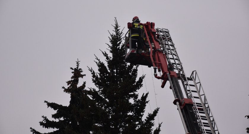 Choinka przed Starostwem już przybrana światełkami (foto)