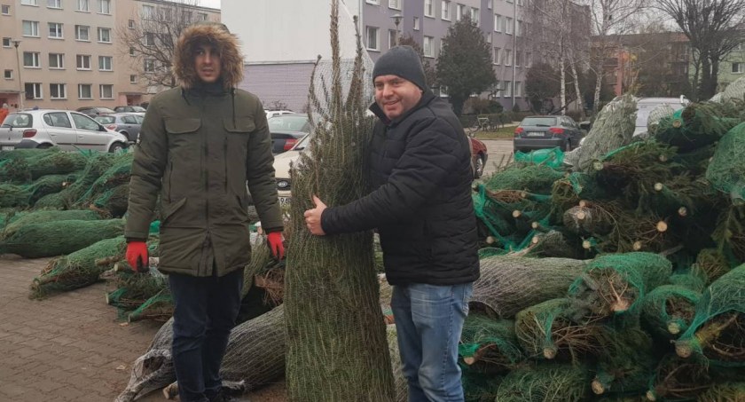 Powiat łowicki. W tym roku choinki za makulaturę nie dostaniesz!